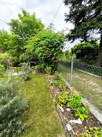 Działka rod Jastrzębie-Zdrój. Zdjęcie 1