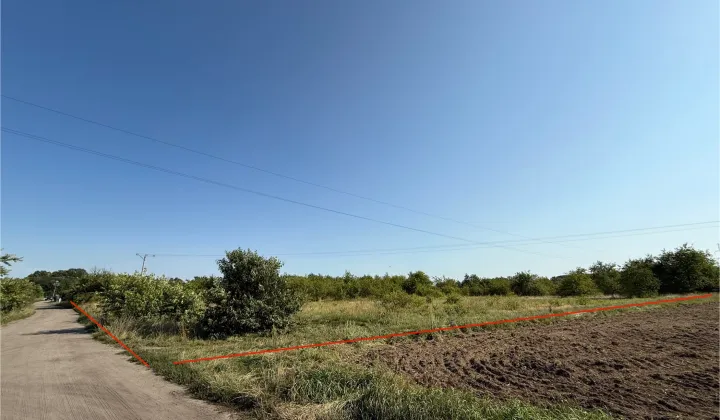 Działka budowlana Sieniawa Żarska, ul. Osiedle