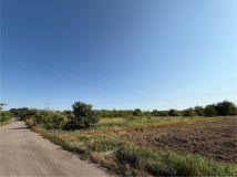 Działka budowlana Sieniawa Żarska, ul. Osiedle