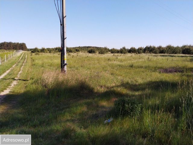 Działka rolno-budowlana Chłopowo. Zdjęcie 1