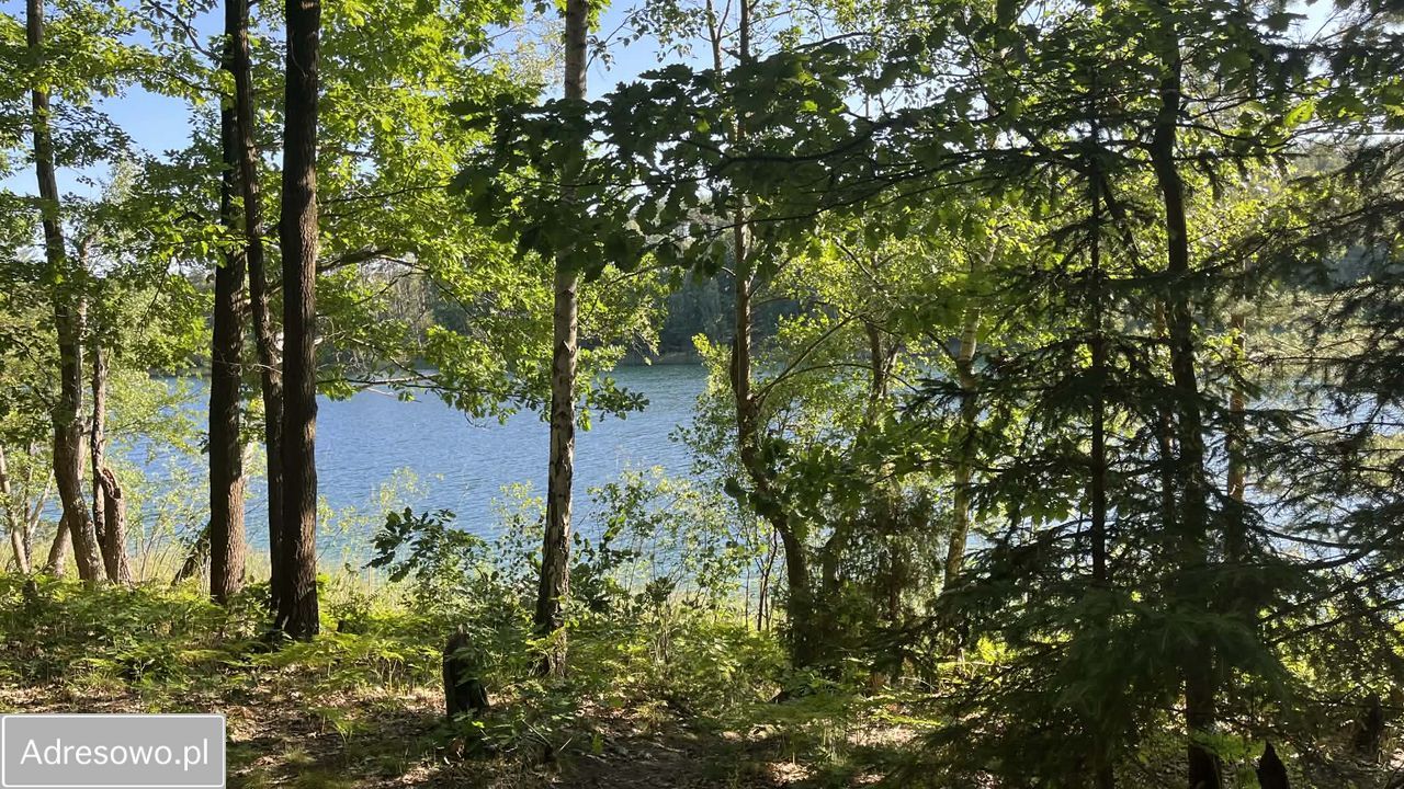 Działka rekreacyjna Borowy Młyn. Zdjęcie 6
