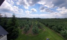 siedlisko Dębie. Zdjęcie 2