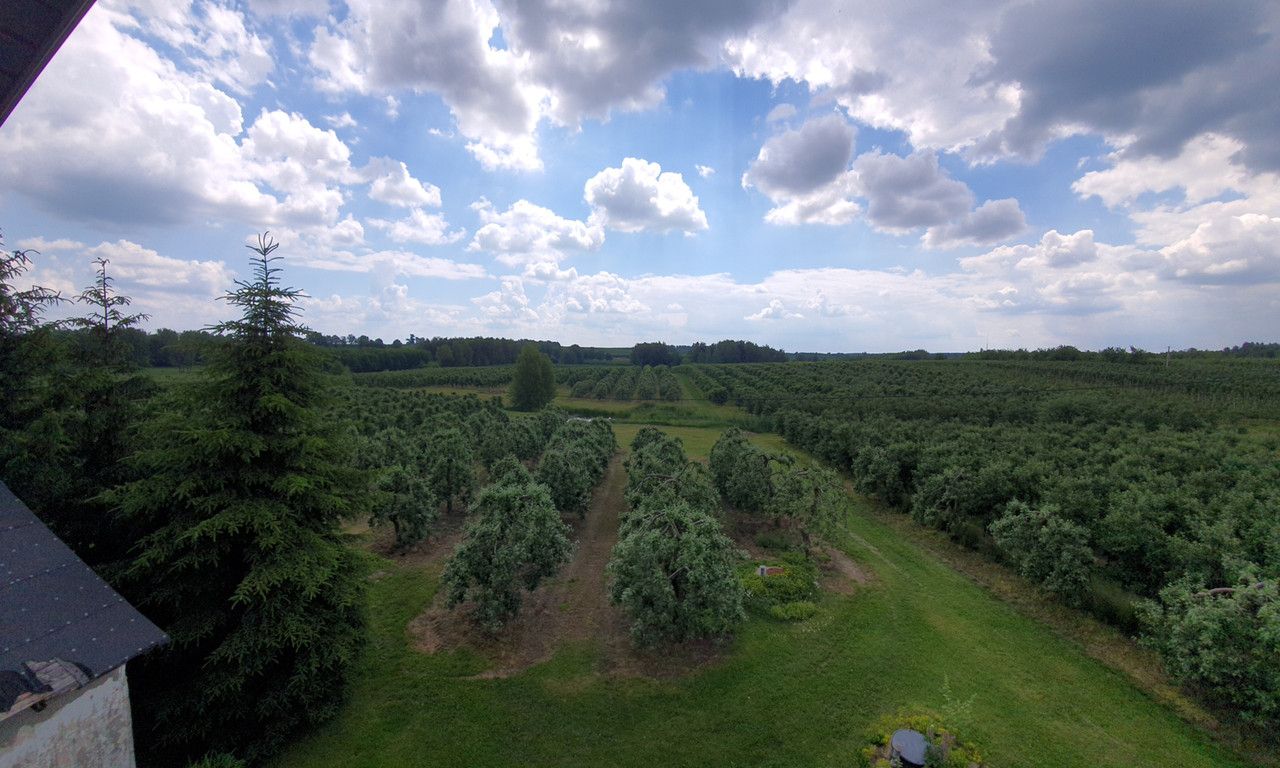 siedlisko Dębie. Zdjęcie 3