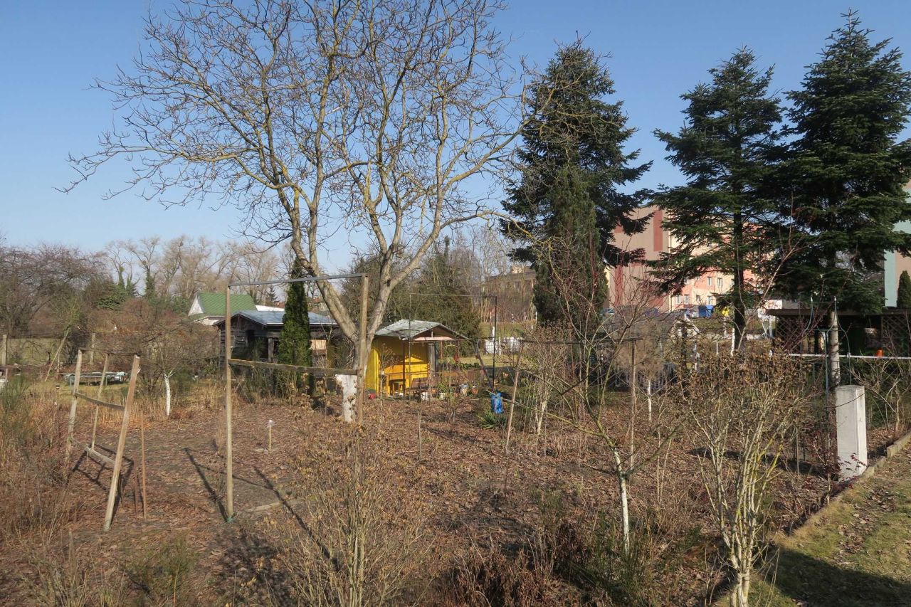 Działka rod Kostrzyn nad Odrą. Zdjęcie 1