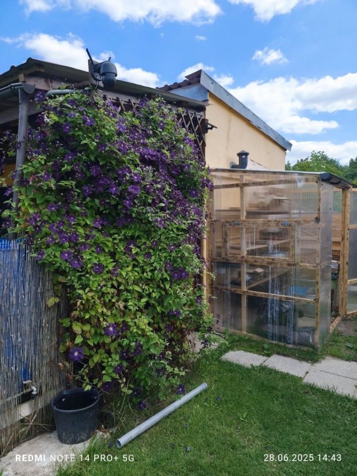 Działka rod Gniezno. Zdjęcie 7