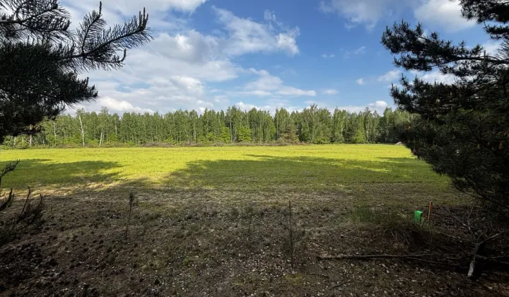 Działka rolno-budowlana Grabice