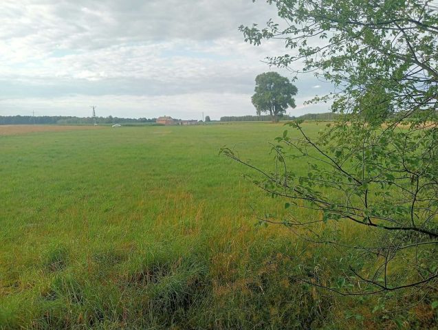 Działka budowlana Krzywda, ul. Żytnia. Zdjęcie 1
