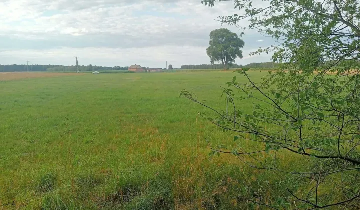 Działka budowlana Krzywda, ul. Żytnia