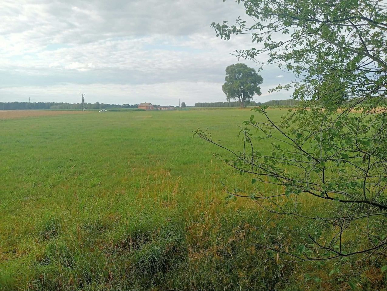Działka budowlana Krzywda, ul. Żytnia. Zdjęcie 1