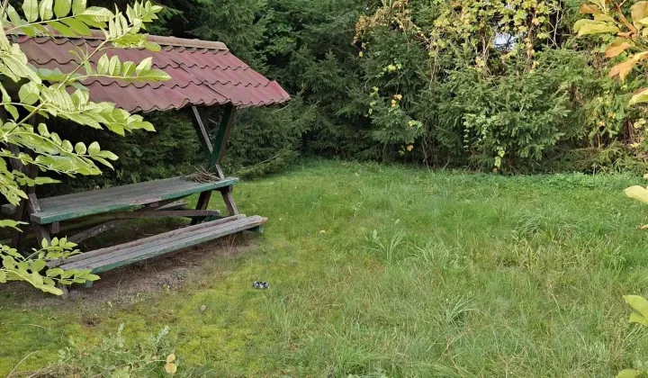 Działka inwestycyjna Upadły