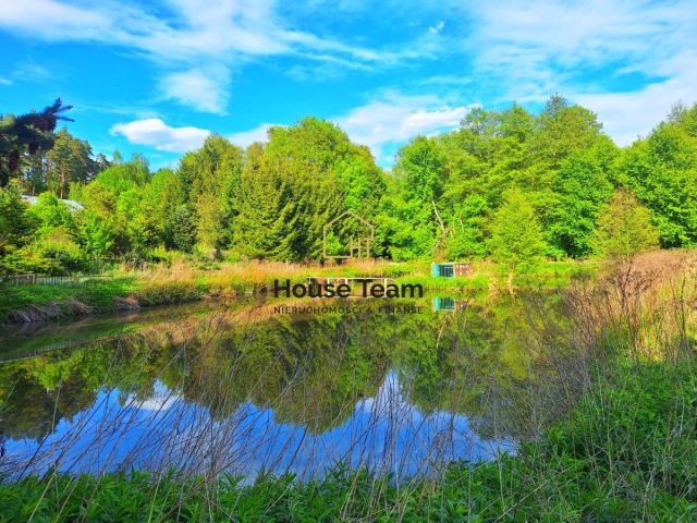 Działka rolna Czarnowo. Zdjęcie 3