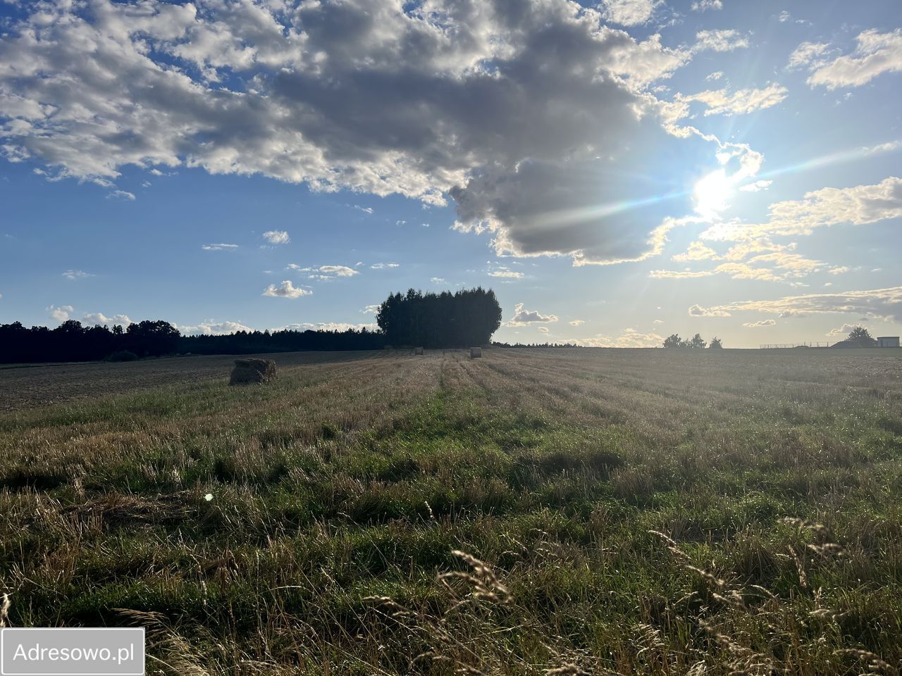 Działka Goła. Zdjęcie 3