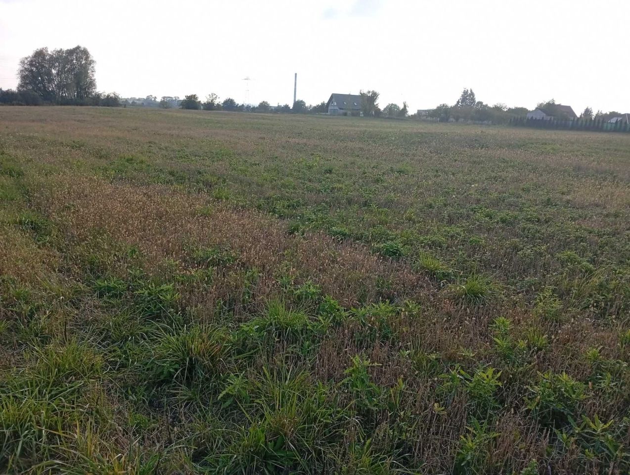 Działka rolna Okszów-Kolonia. Zdjęcie 2