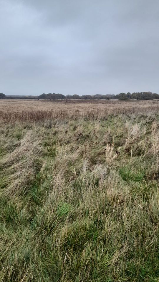 Działka rekreacyjna Barzowice. Zdjęcie 8