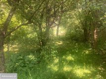 Działka rod Wołomin, ul. Zielona. Zdjęcie 2