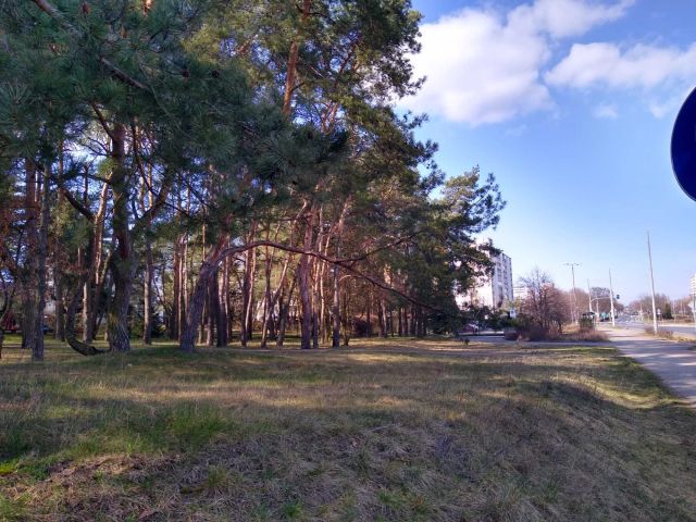 Mieszkanie 2-pokojowe Toruń Na Skarpie, ul. Konstytucji 3 Maja. Zdjęcie 1
