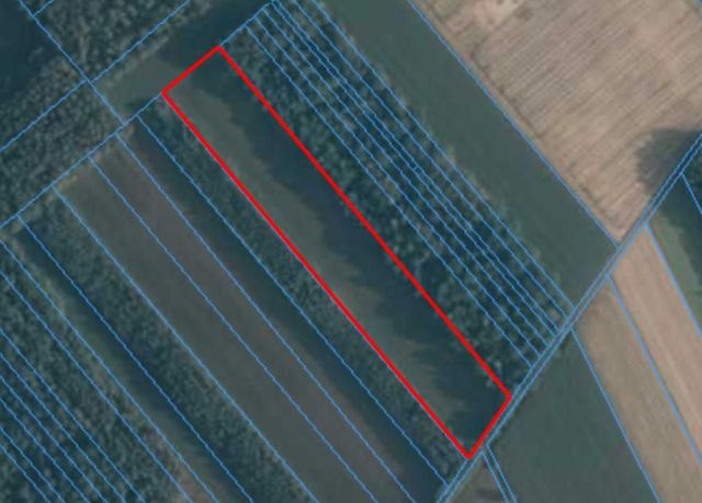 Działka rolna Jasień. Zdjęcie 1