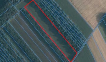 Działka rolna Jasień