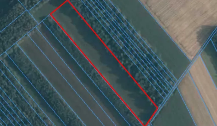 Działka rolna Jasień