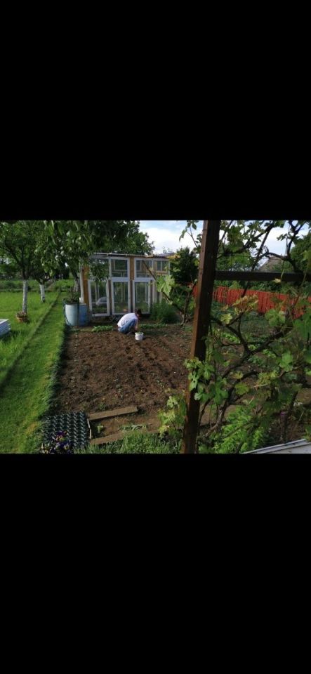 Działka rekreacyjna Czerwieńsk. Zdjęcie 6