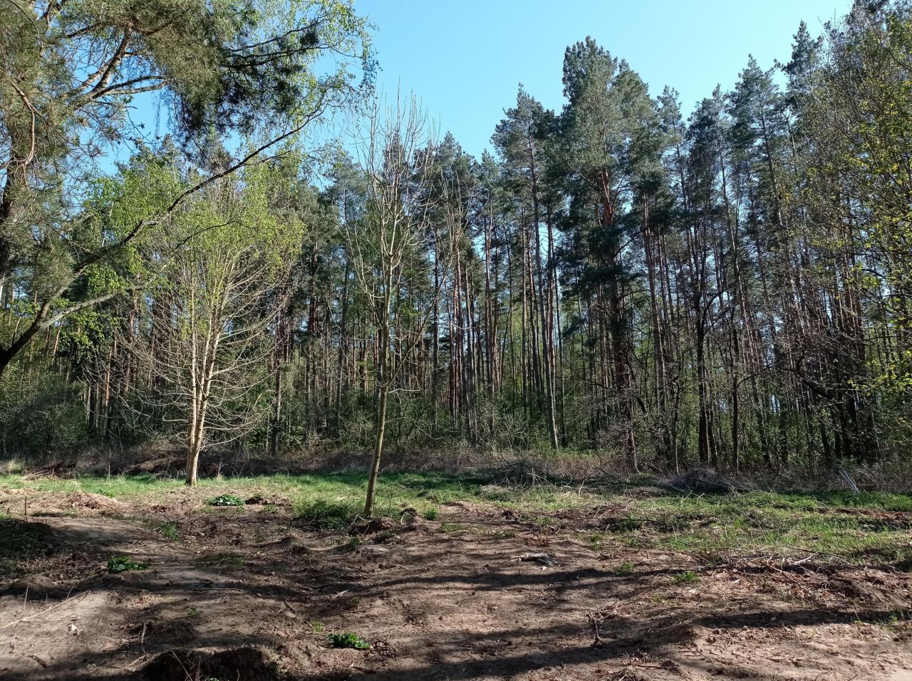 Działka budowlana Rościęcino, ul. Handlowa. Zdjęcie 4