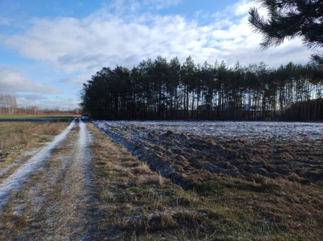 Działka budowlana Ludwików. Zdjęcie 1