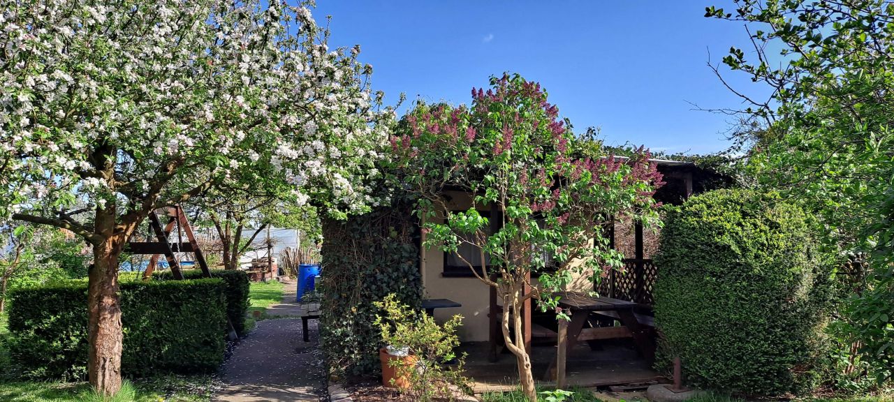 Działka rod Szczecin Centrum. Zdjęcie 6