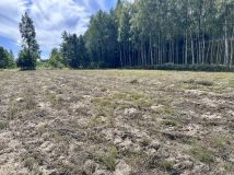 Działka rolno-budowlana Nowa Wieś. Zdjęcie 1