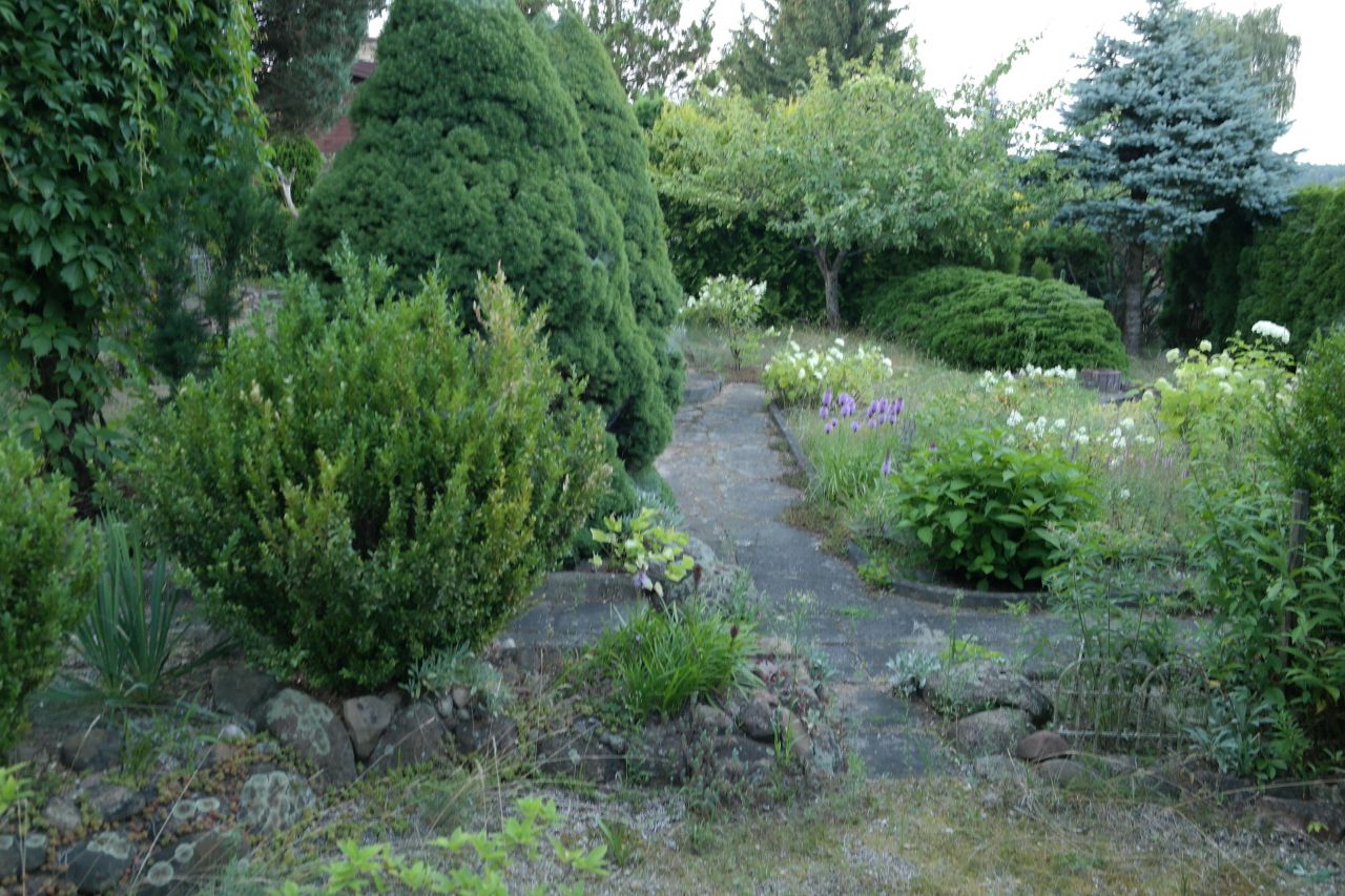 Działka rod Niewodnica Kościelna, ul. Działkowców. Zdjęcie 43