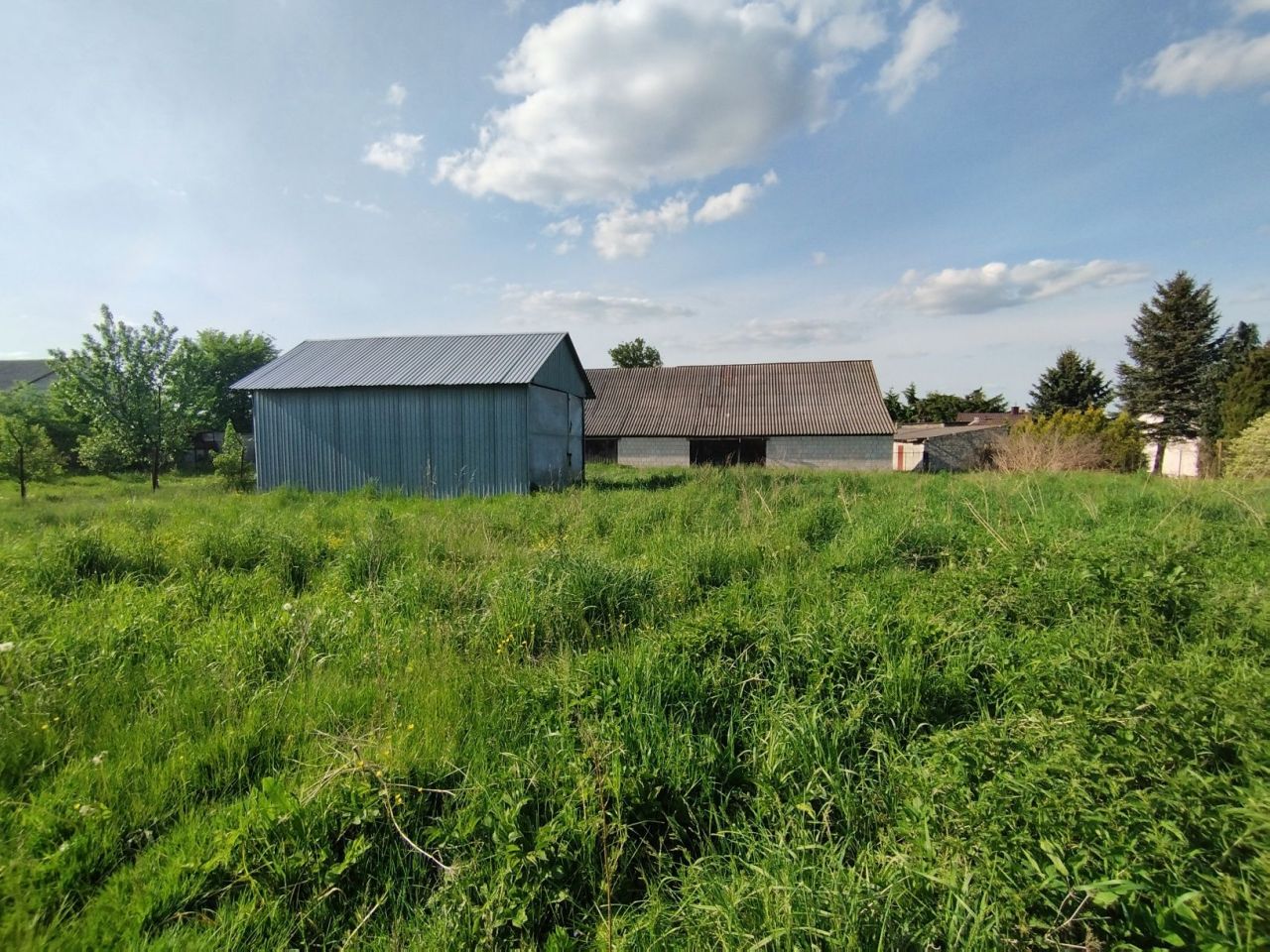 Działka siedliskowa Sławno. Zdjęcie 7