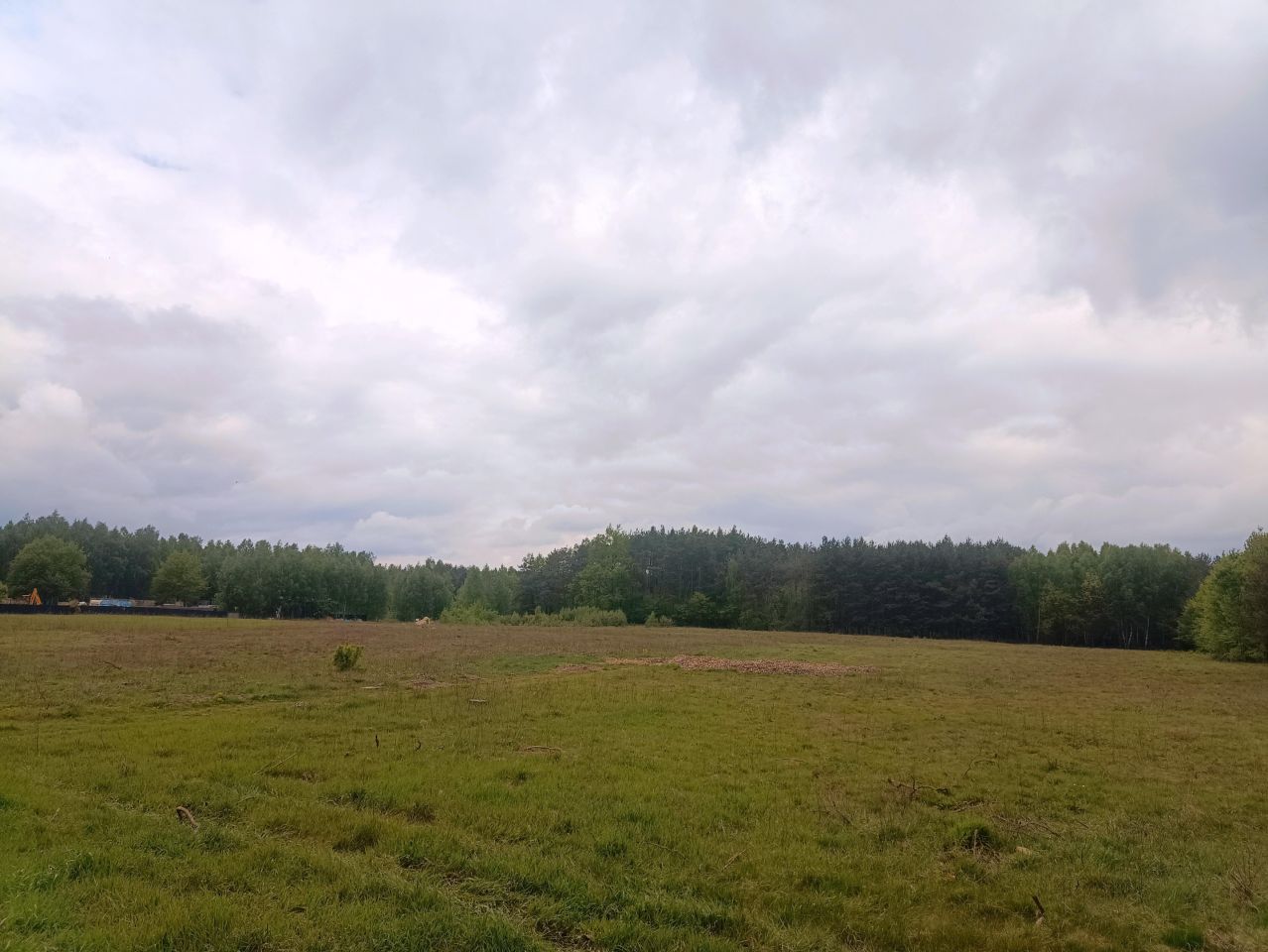 Działka inwestycyjna Jawor-Kolonia. Zdjęcie 2