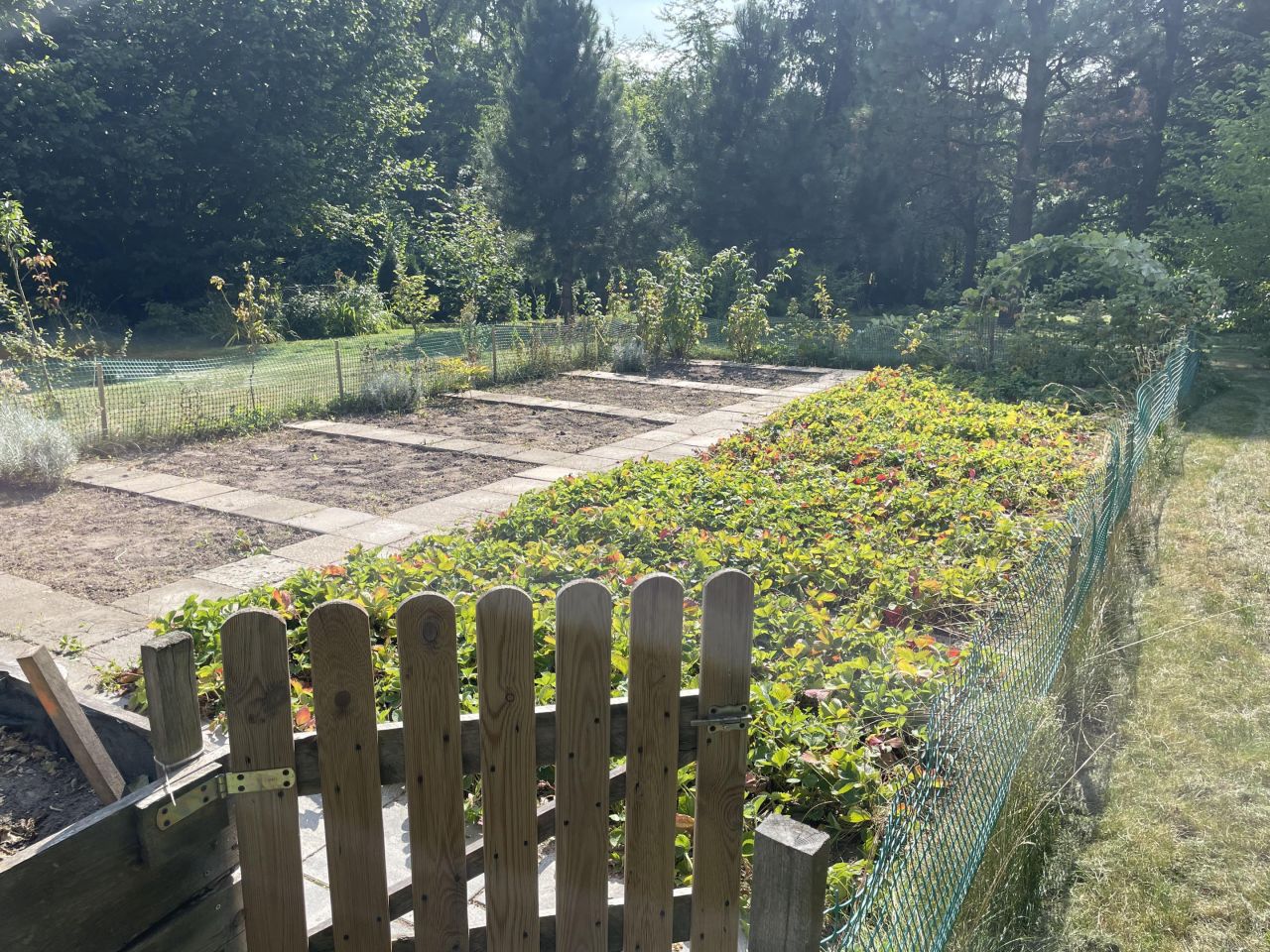 dom wolnostojący, 7 pokoi Wałcz, ul. Podgórna. Zdjęcie 7