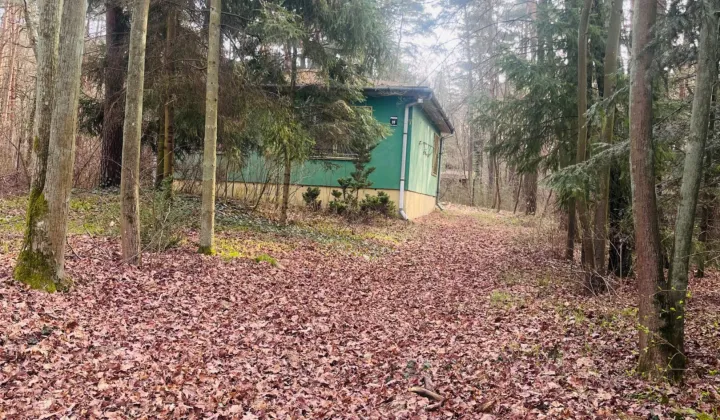 Działka rekreacyjna Sokolniki-Las