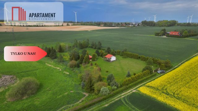 Działka budowlana Koniecwałd. Zdjęcie 4