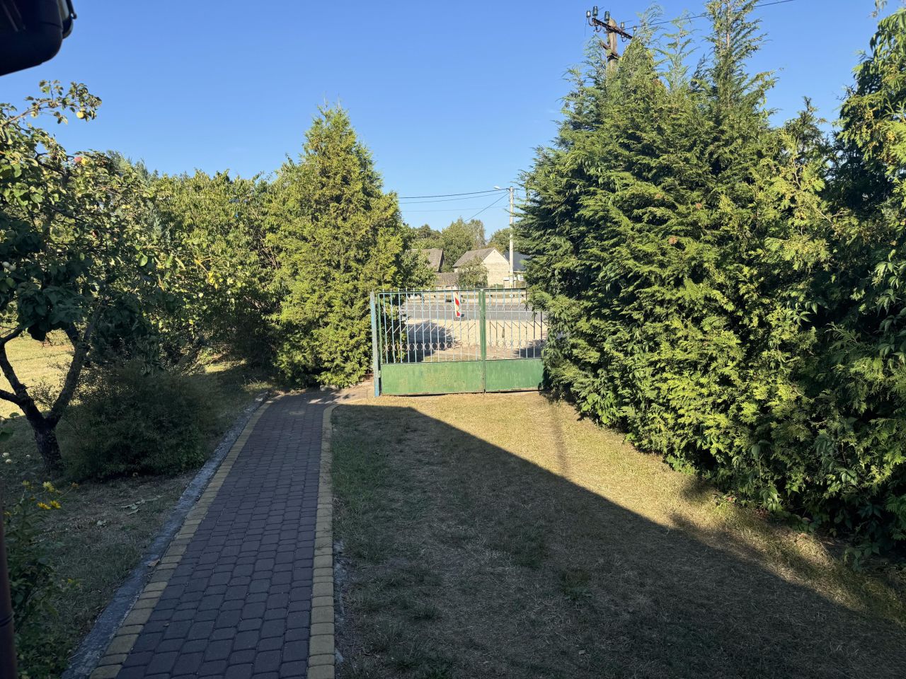 Działka siedliskowa Zieleniec. Zdjęcie 16