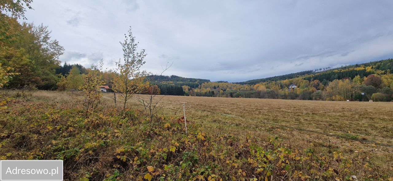 Działka budowlana Chocieszów. Zdjęcie 12