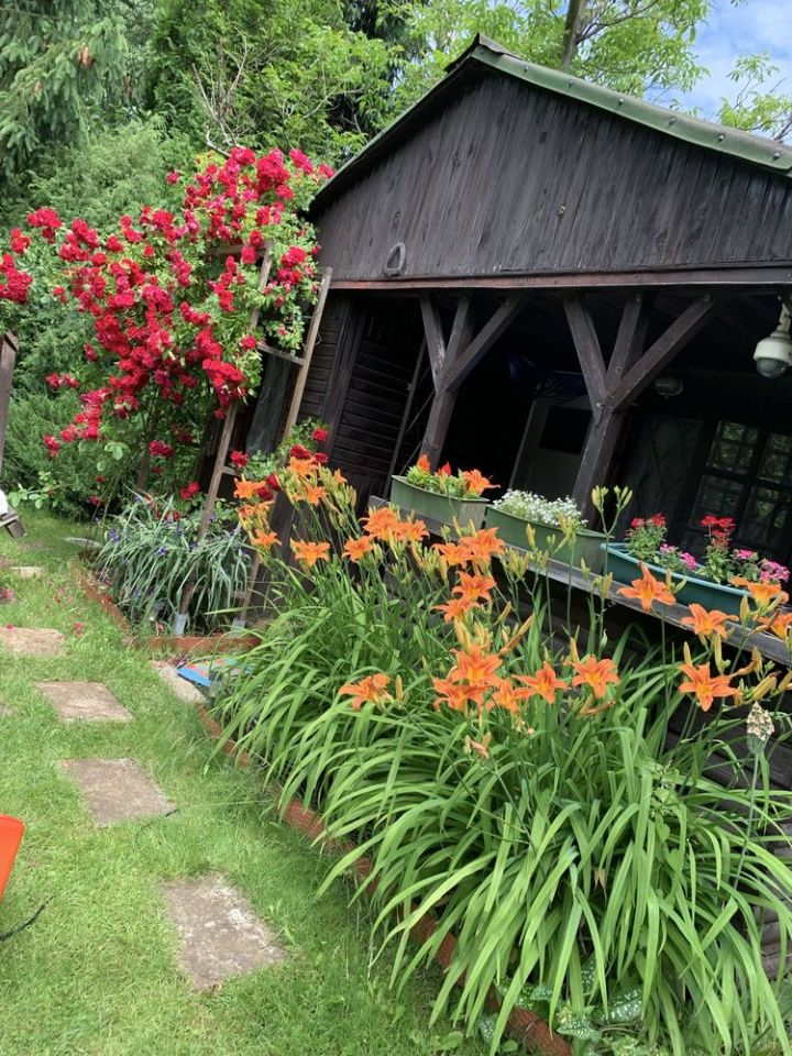 Działka rod Warszawa Targówek, ul. Głębocka. Zdjęcie 1