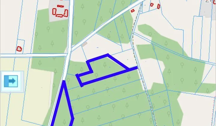 Działka leśna Żelazna Rządowa