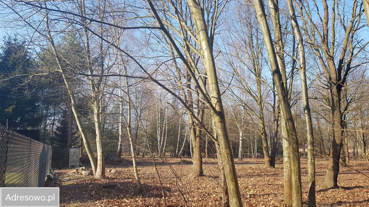 Działka rekreacyjna Głosków, ul. Millenium. Zdjęcie 8