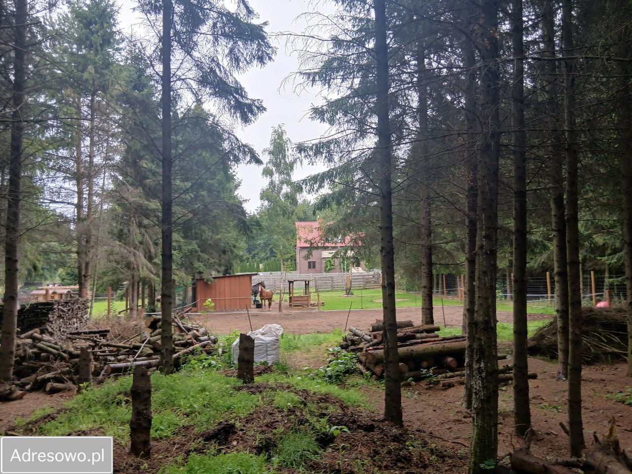 Działka budowlana Kołczewo. Zdjęcie 6