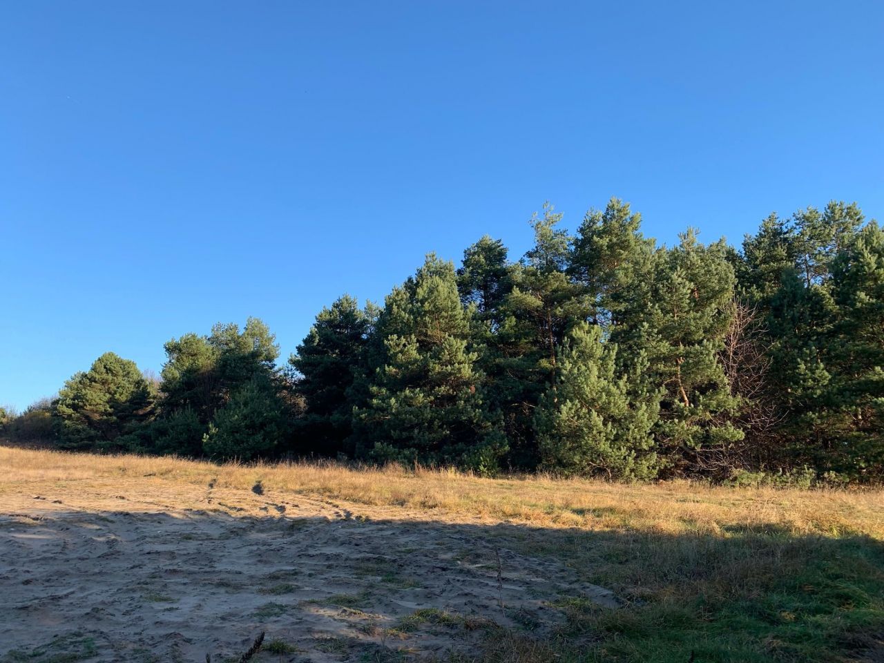 Działka budowlana Zawiercie Skarżyce