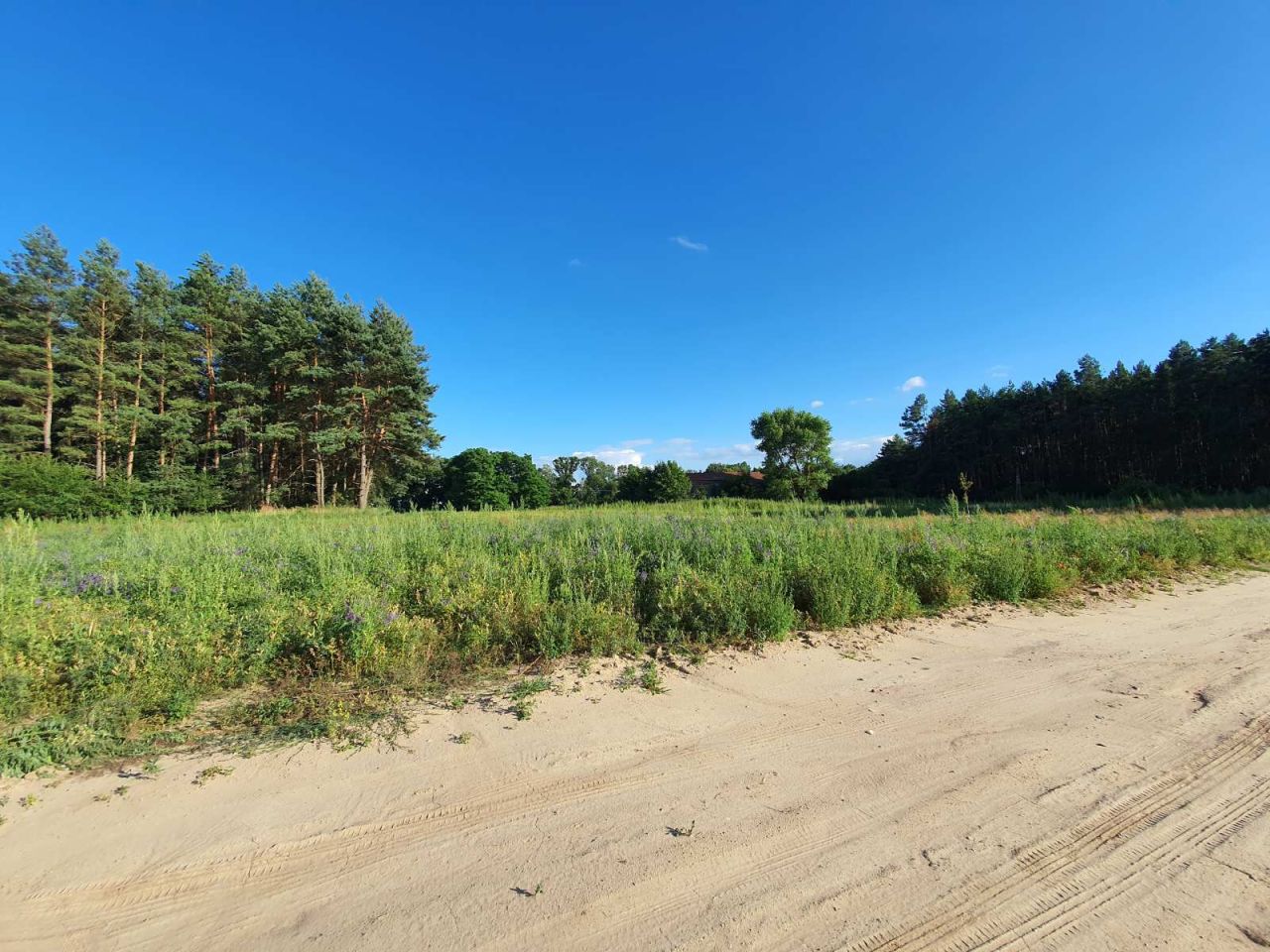 Działka budowlana Gorczeniczka. Zdjęcie 7