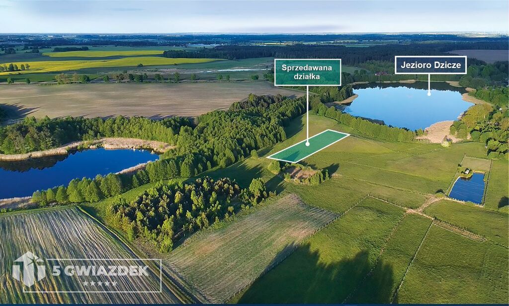 Działka budowlana Dziki. Zdjęcie 7