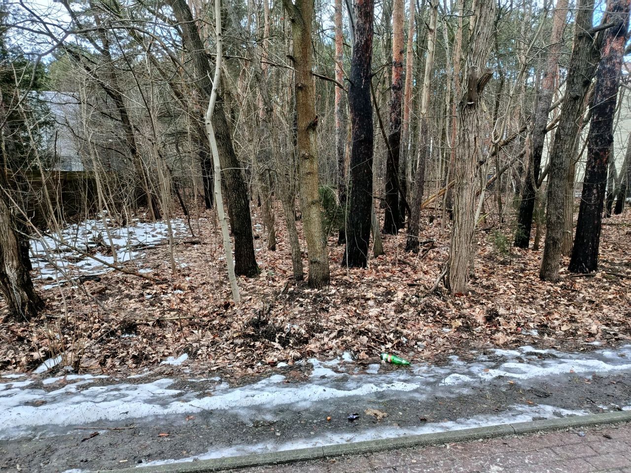 Działka leśna Legionowo, ul. Aleja Legionów. Zdjęcie 7