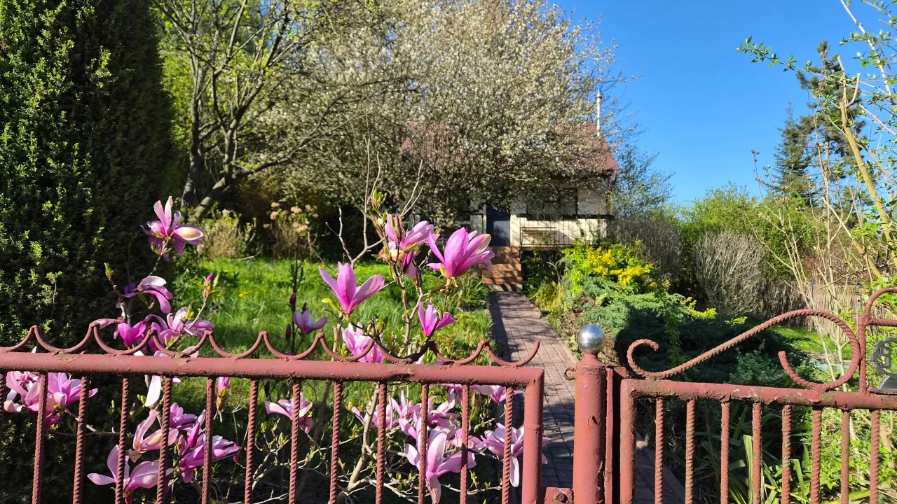 Działka rod Zabierzów. Zdjęcie 6