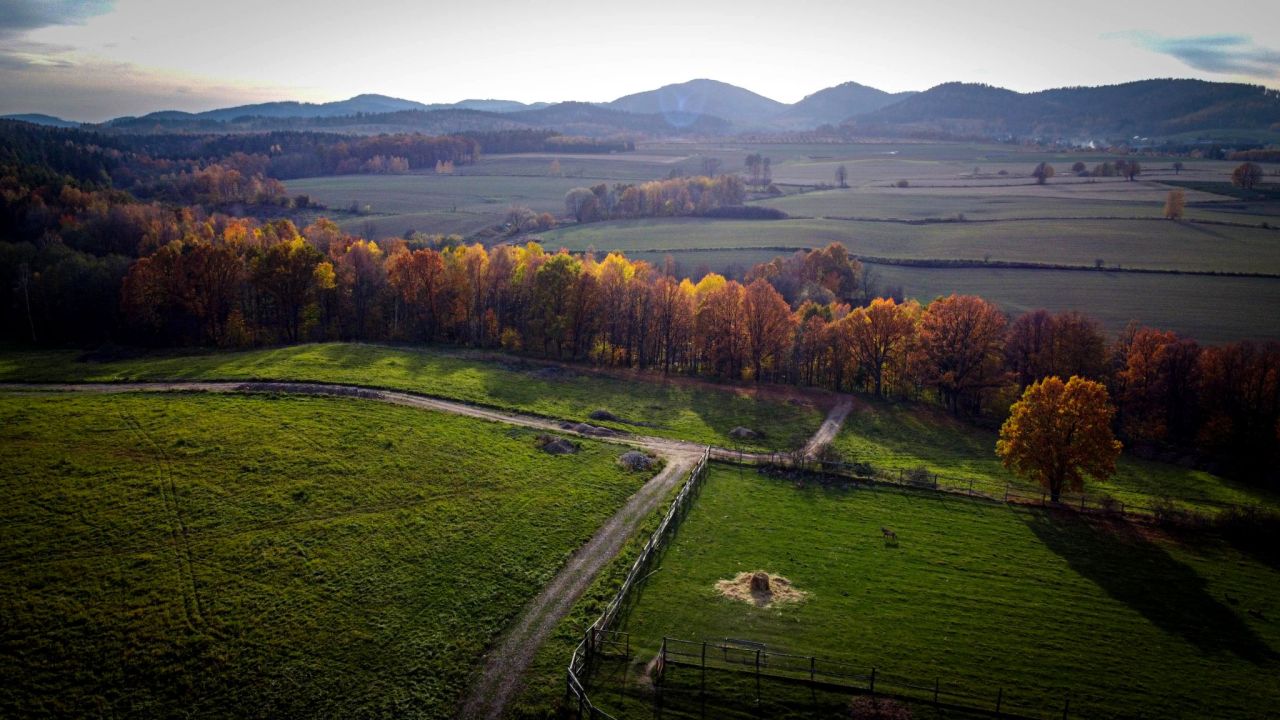Działka budowlana Dziećmorowice. Zdjęcie 7