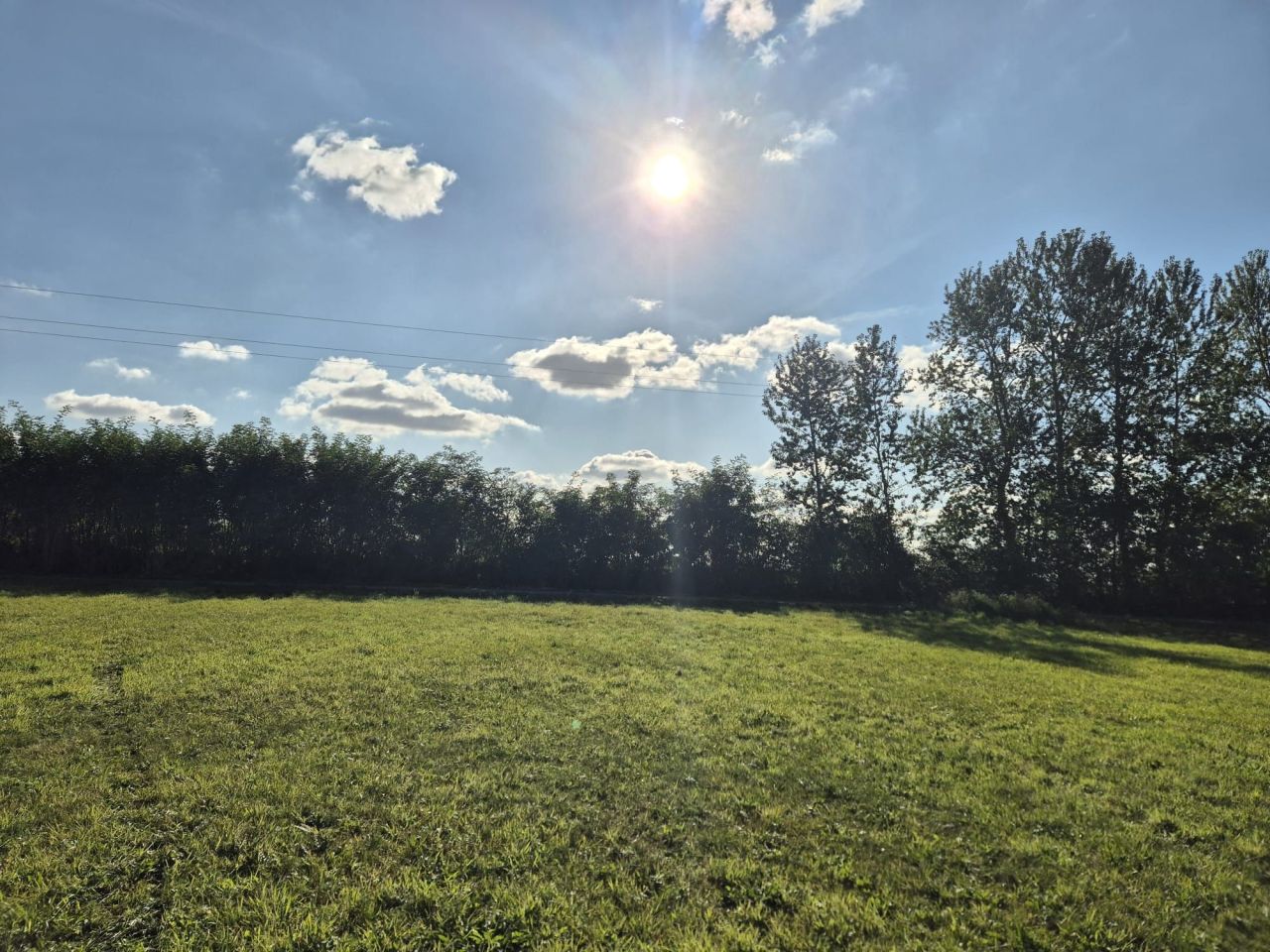 Działka inwestycyjna Naprusewo. Zdjęcie 2