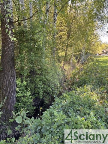 Działka budowlana Żółwin. Zdjęcie 7