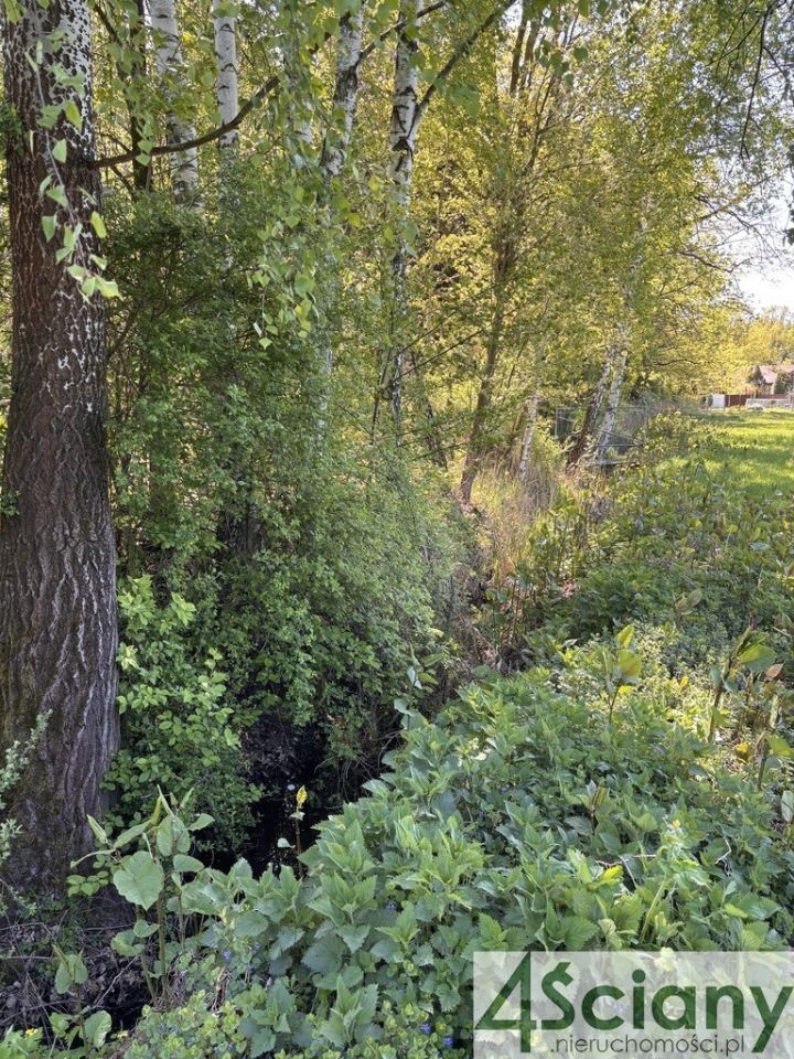 Działka budowlana Żółwin. Zdjęcie 7