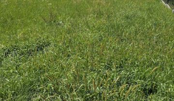 Działka budowlana Łaziska Górne Brada, ul. Bukowa